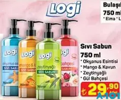 LOGİ SIVI SABUN 750 ML fiyat ve kampanya bilgisi